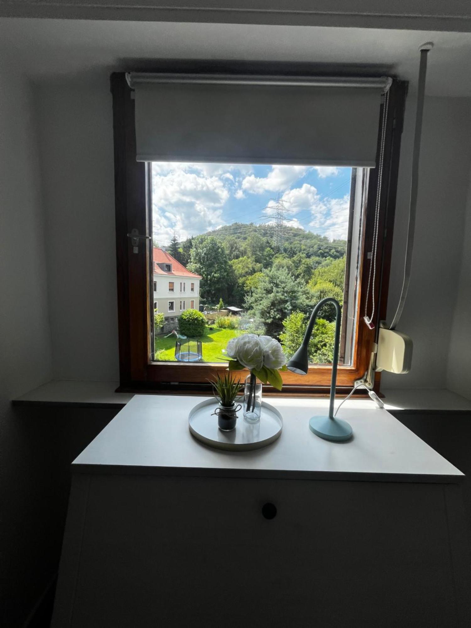 Idyllisch Wohnen An Der Ruhr Apartment Hattingen Ngoại thất bức ảnh